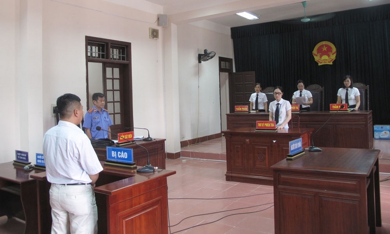 áp dụng pháp luật là gì ảnh 4