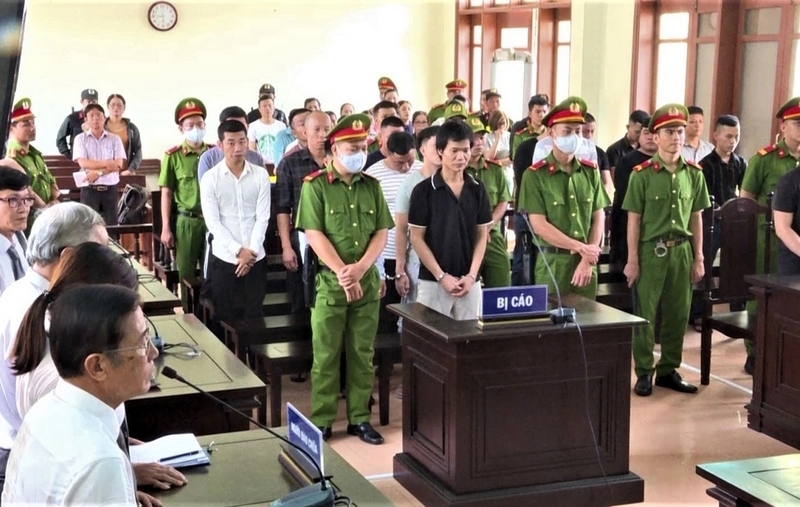 áp dụng pháp luật là gì ảnh 5