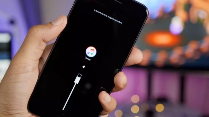 Apple Application Support là gì? - hình 3