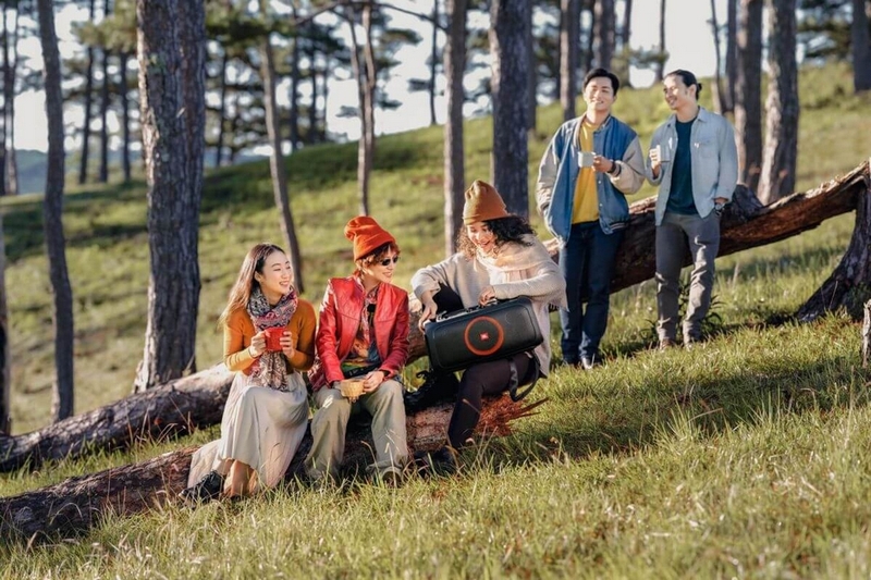 audiophile là gì ảnh 5