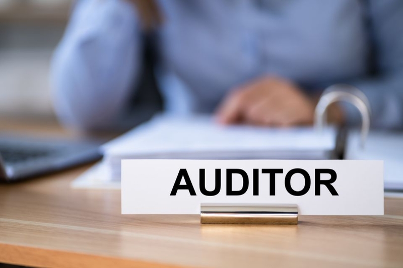 auditor-la-gi-1.jpg