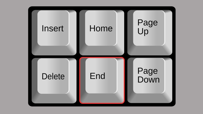 Nhấn phím End hoặc chọn nút Run trên phần mềm để kích hoạt chế độ nhấp chuột tự động