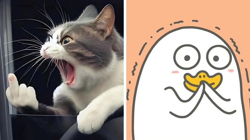 Khám phá ngay bộ sưu tập avatar bựa cute không thể bỏ lỡ