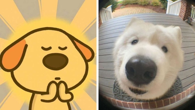 Khám phá ngay bộ sưu tập avatar bựa cute không thể bỏ lỡ