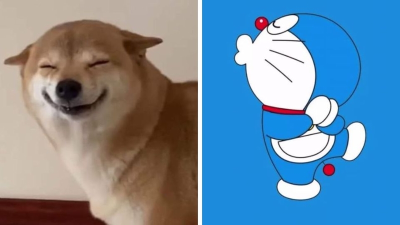 Khám phá ngay bộ sưu tập avatar bựa cute không thể bỏ lỡ