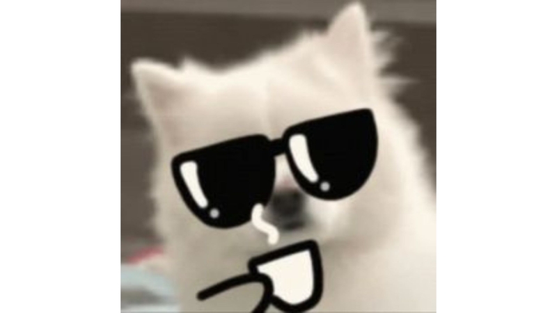 Avatar meme chó 9