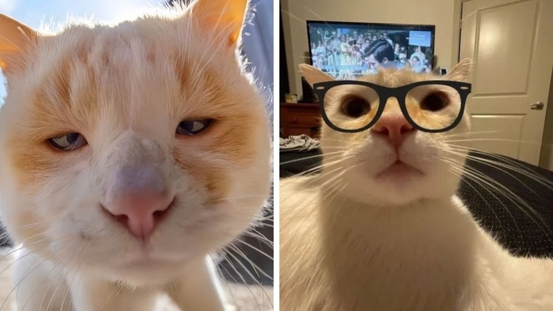 Avatar vô tri cho nam 3