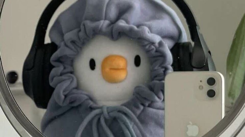 Avatar vô tri là gì?