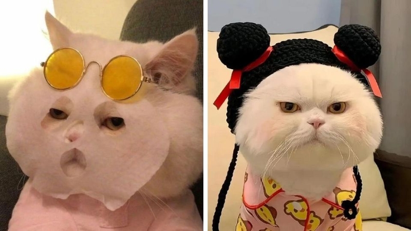 Avatar vô tri cho nữ 2