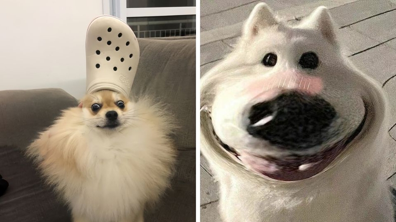 Avatar vô tri cho nữ 4