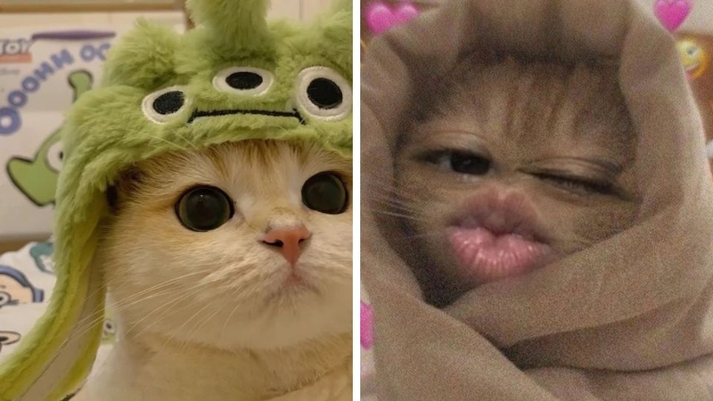 Avatar vô tri cho nữ 6