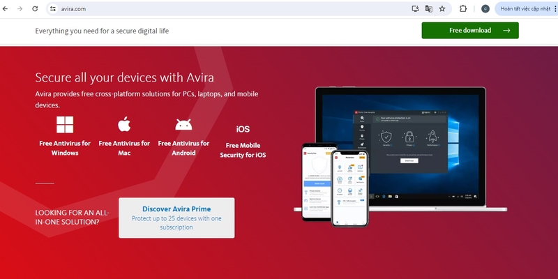 avira 5