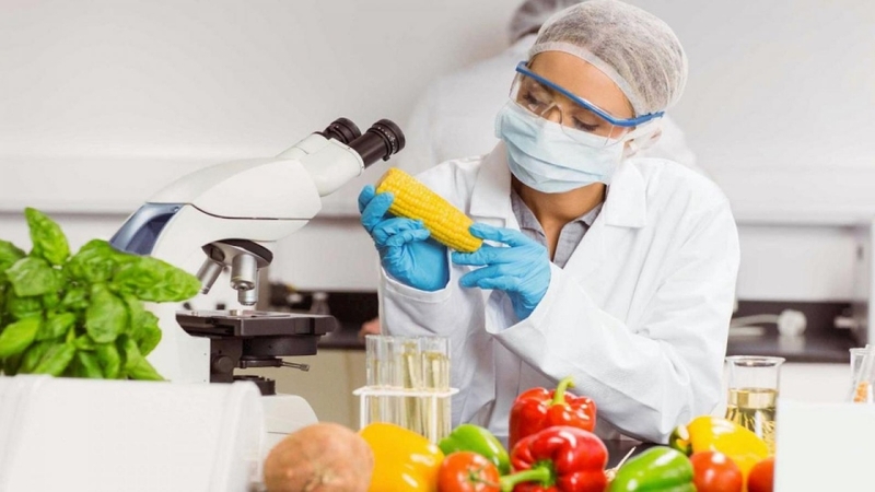 Công nghệ thực phẩm là một trong các ngành thuộc khối B02