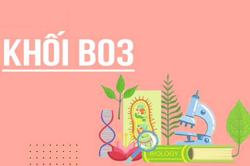 b03-la-khoi-gi-2.jpg