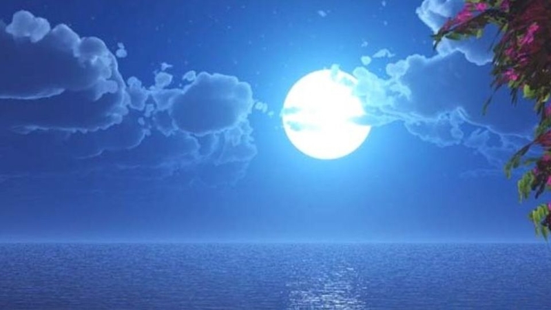 Bạch nguyệt quang ảnh hưởng như thế nào đến các mối quan hệ hiện tại?