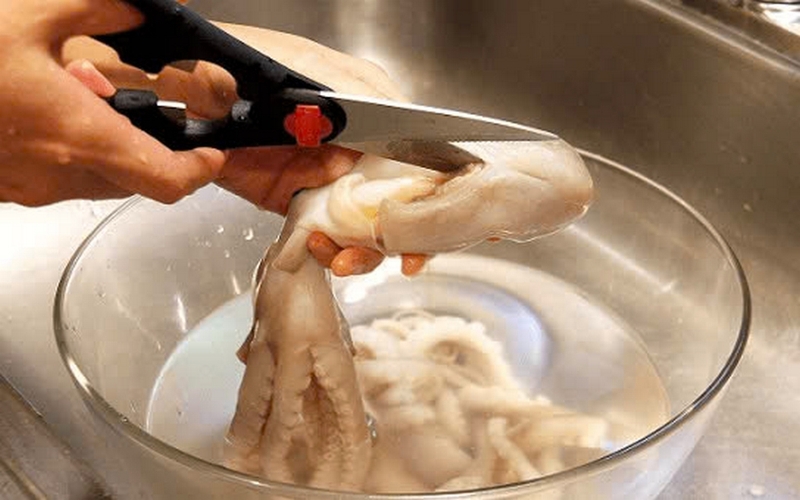 bạch tuộc hấp nước ảnh 1