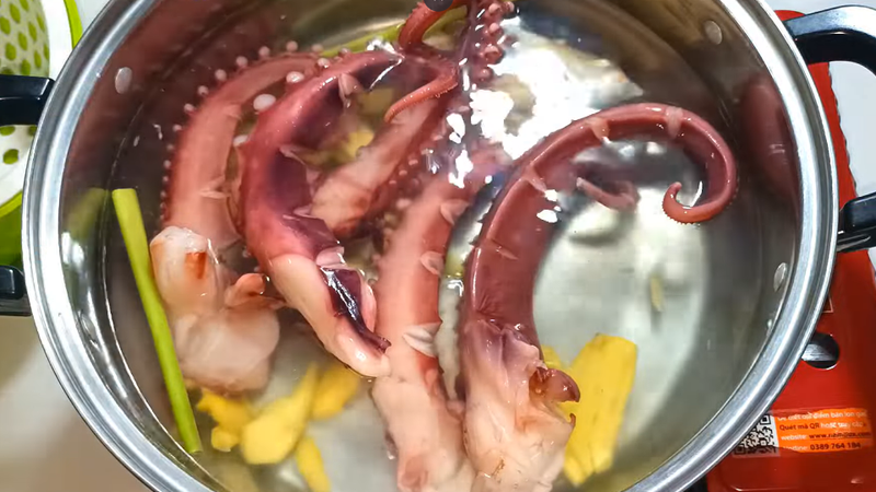 Cho bạch tuộc lên trên