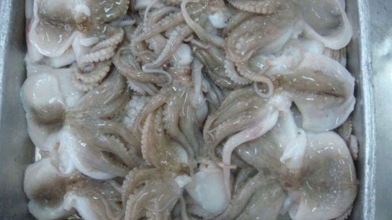 bạch tuộc xào cay 5