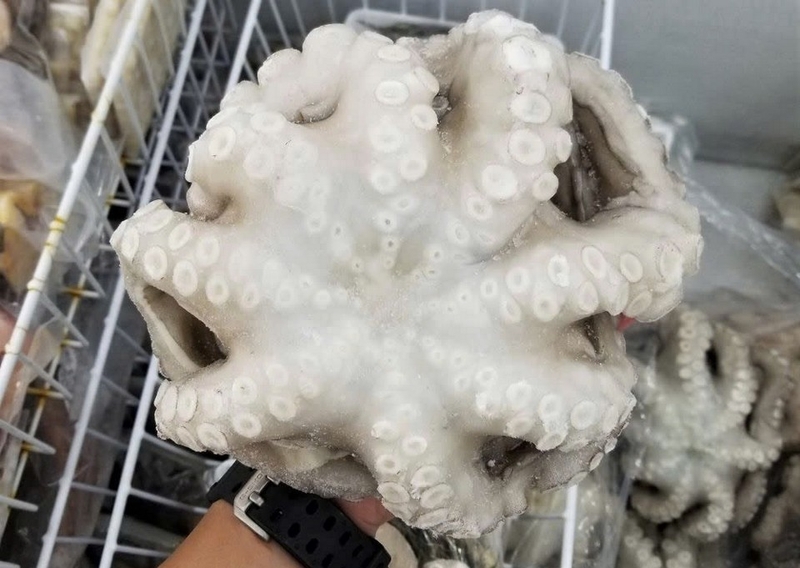 bạch tuộc nhúng giấm ảnh 2