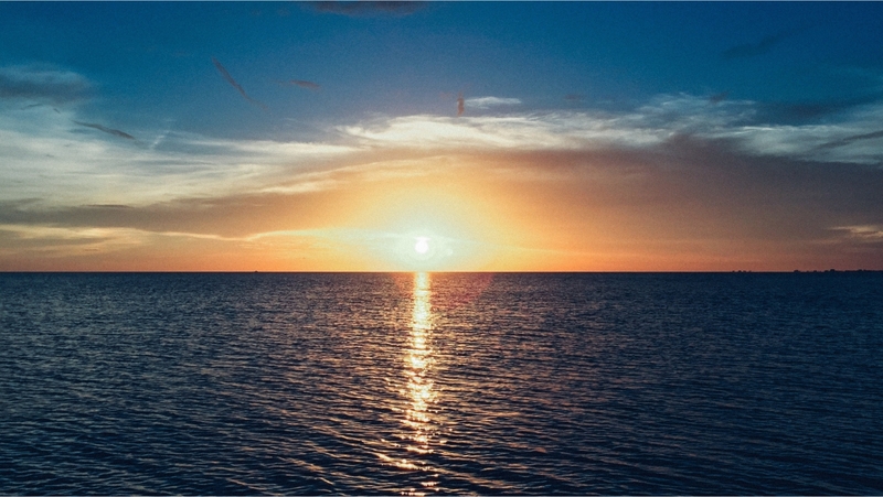 background bien (11).jpg