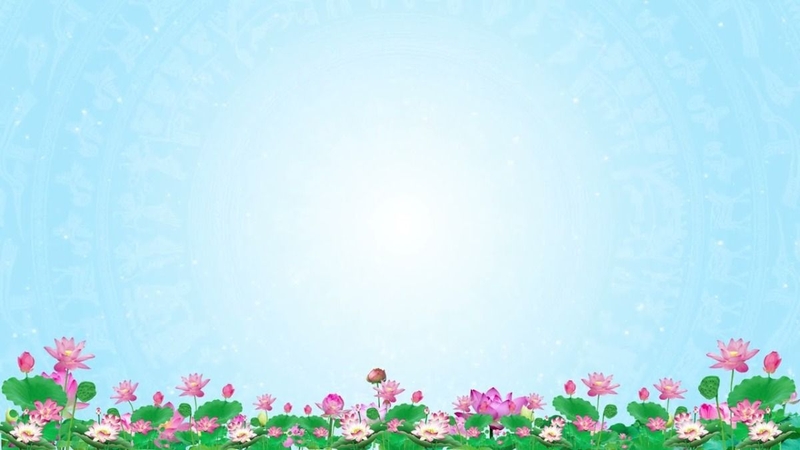 background Giỗ Tổ Hùng Vương hình 5