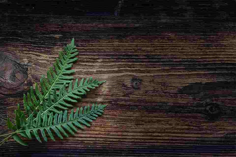 Mẫu background gỗ cổ điển đơn giản