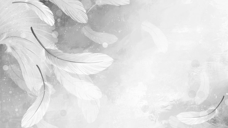 Background trắng nghệ thuật 5