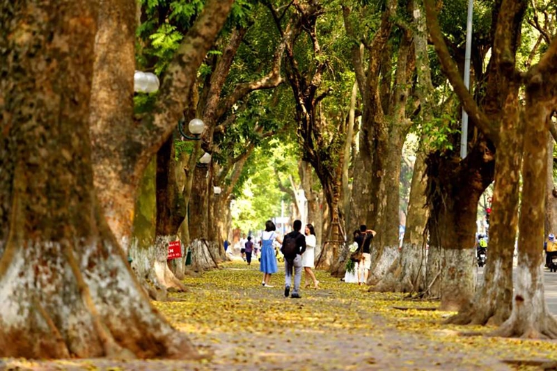 những bài thơ hay về Hà Nội 5