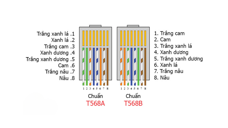 Hai chuẩn bấm cơ bản của dây mạng 4 sợi