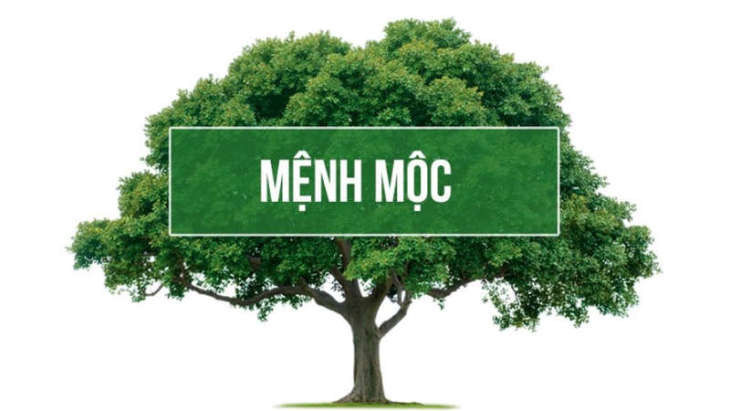 Bản mệnh là gì? 4