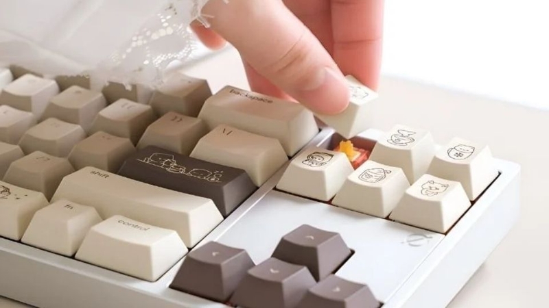 Switch bị mòn hoặc xuống cấp