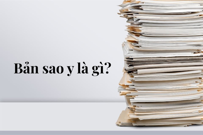 Bản sao y là gì (ảnh 1)