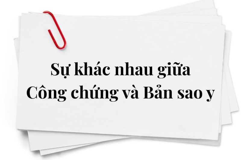 Bản sao y là gì (ảnh 3)