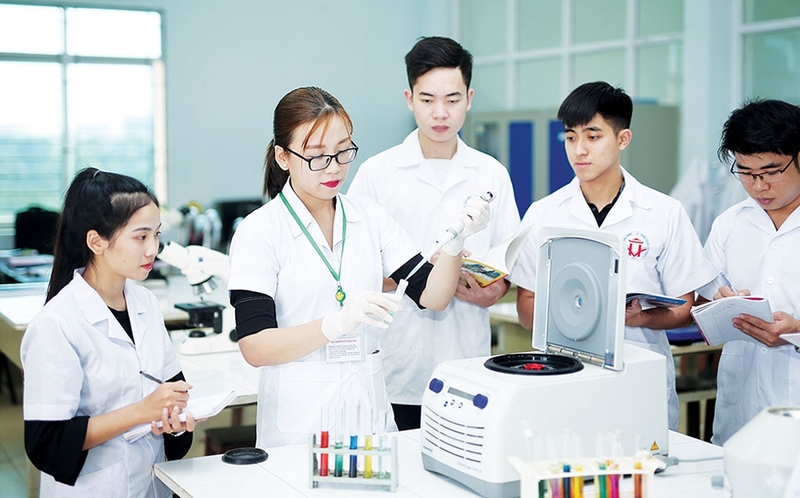 Bằng cử nhân là gì - 06