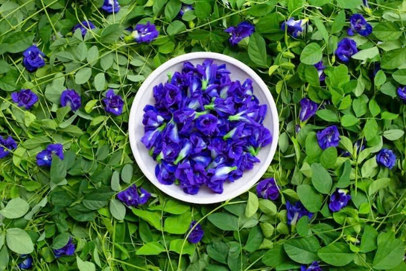 bánh bao hoa đậu biếc ảnh 1