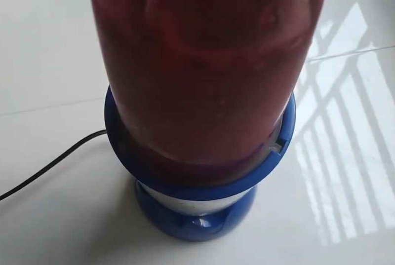 bánh bao thanh long hình 2