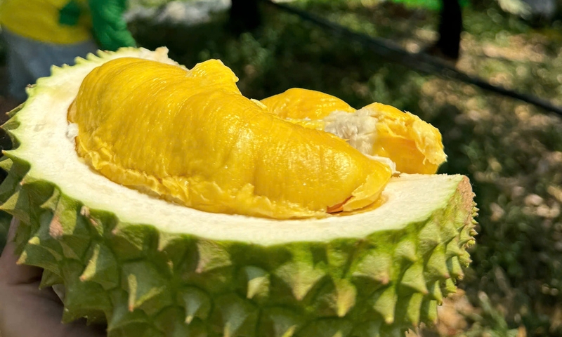 bánh bò sầu riêng - hình 6
