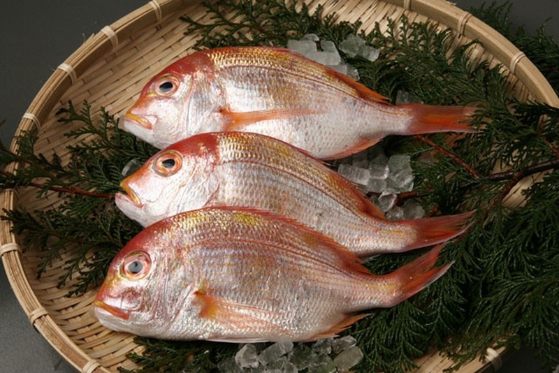 cá bánh đường chiên 3