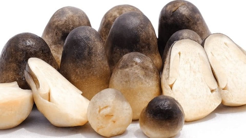 Mẹo chọn mua nấm rơm tươi ngon