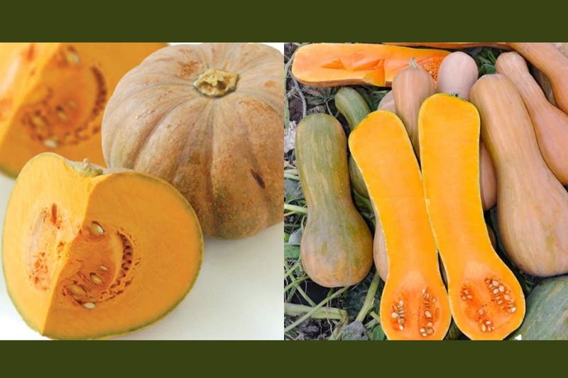 Bí quyết chọn mua bí đỏ tươi, đẹp mắt