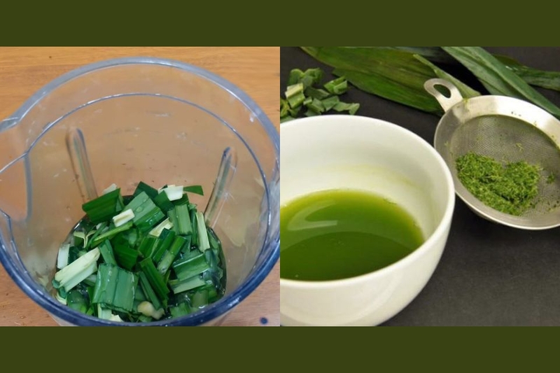 Xay lá dứa