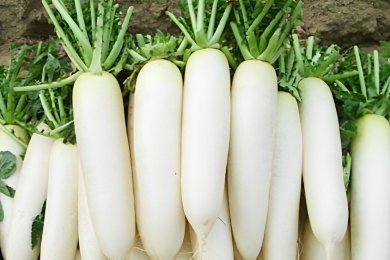 bánh củ cải chiên giòn 1