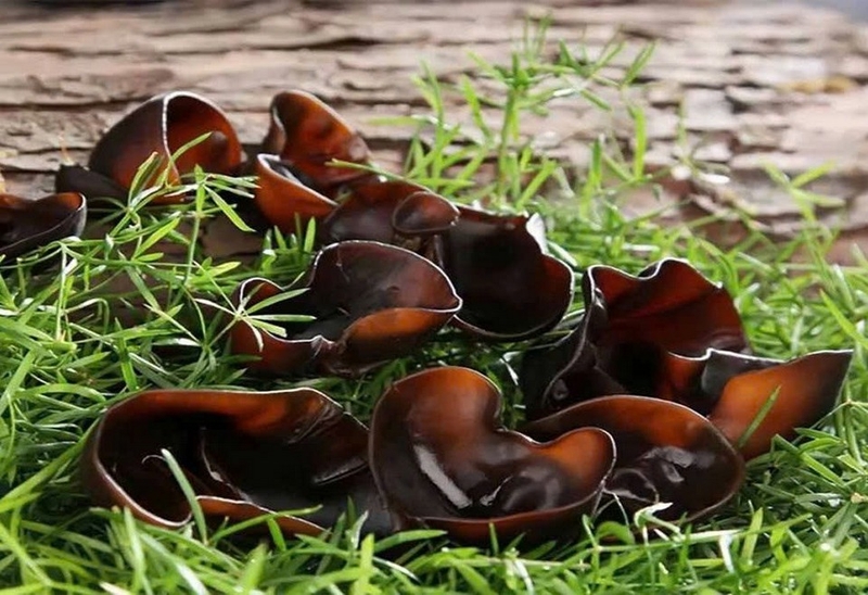 bánh gối chay ảnh 1