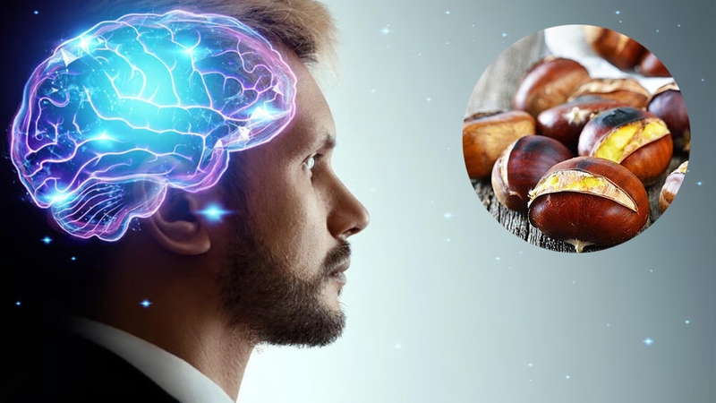 Hạt dẻ giúp tăng cường chức năng não bộ