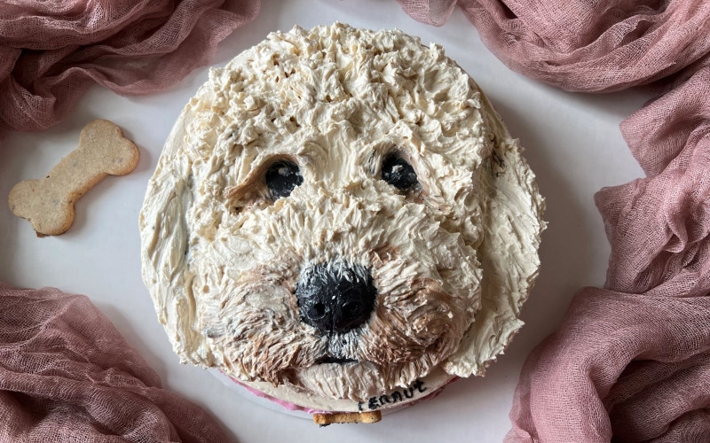 Ý nghĩa của bánh kem hình con chó