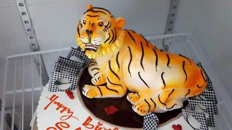 Bánh kem hình con hổ ngộ nghĩnh 2