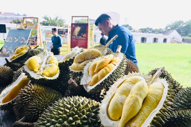 bánh kem sầu riêng - Hình 3