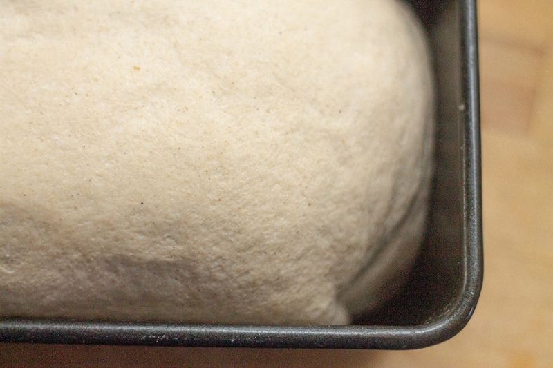 Bánh lúa mạch - 03