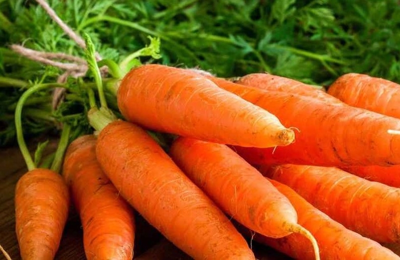 Bí quyết chọn cà rốt tươi ngon