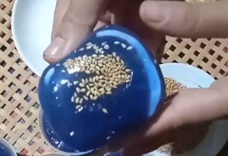 bánh phu thê hoa đậu biếc hình 11